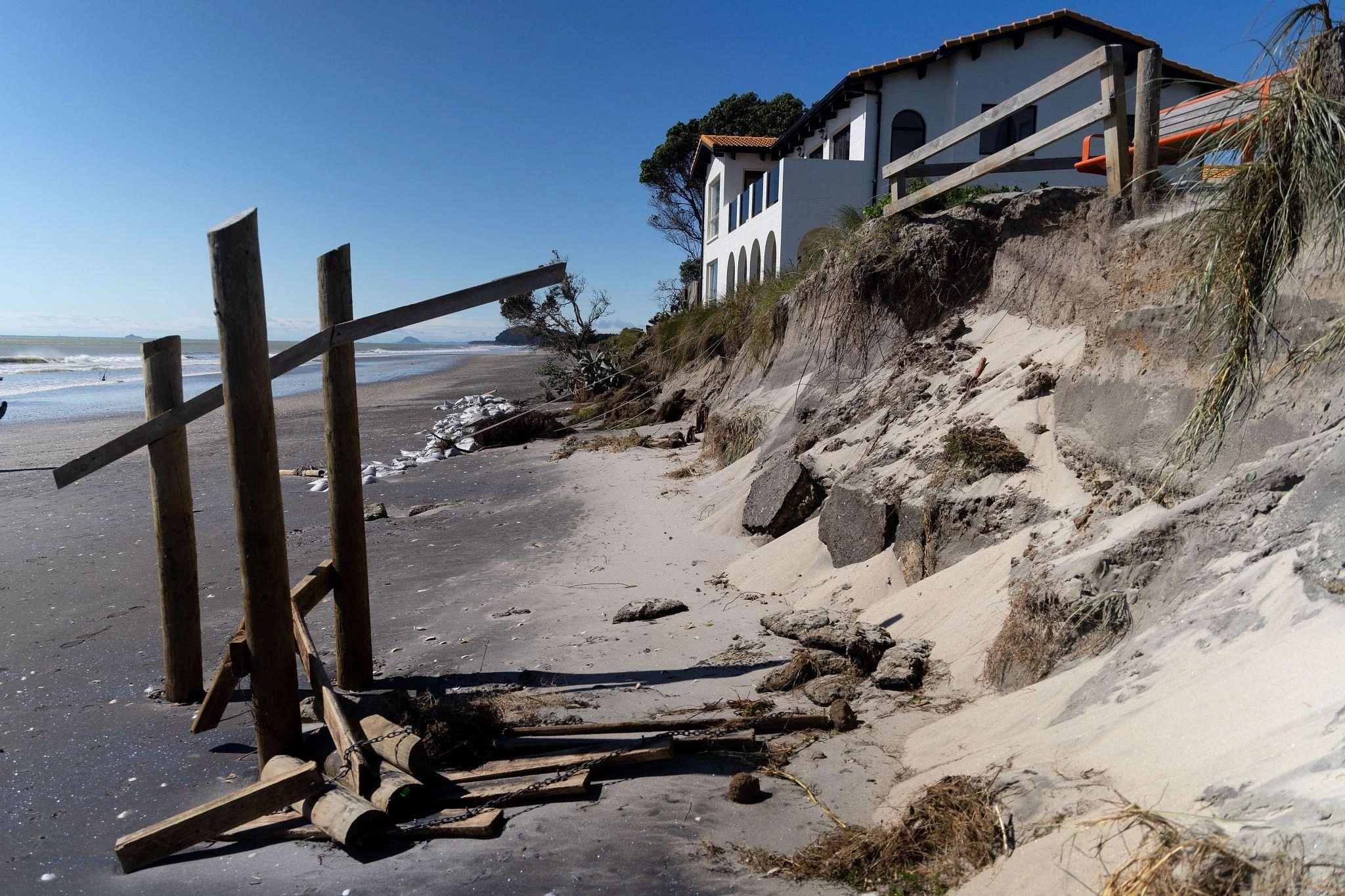 Coastal dunes and natural processes