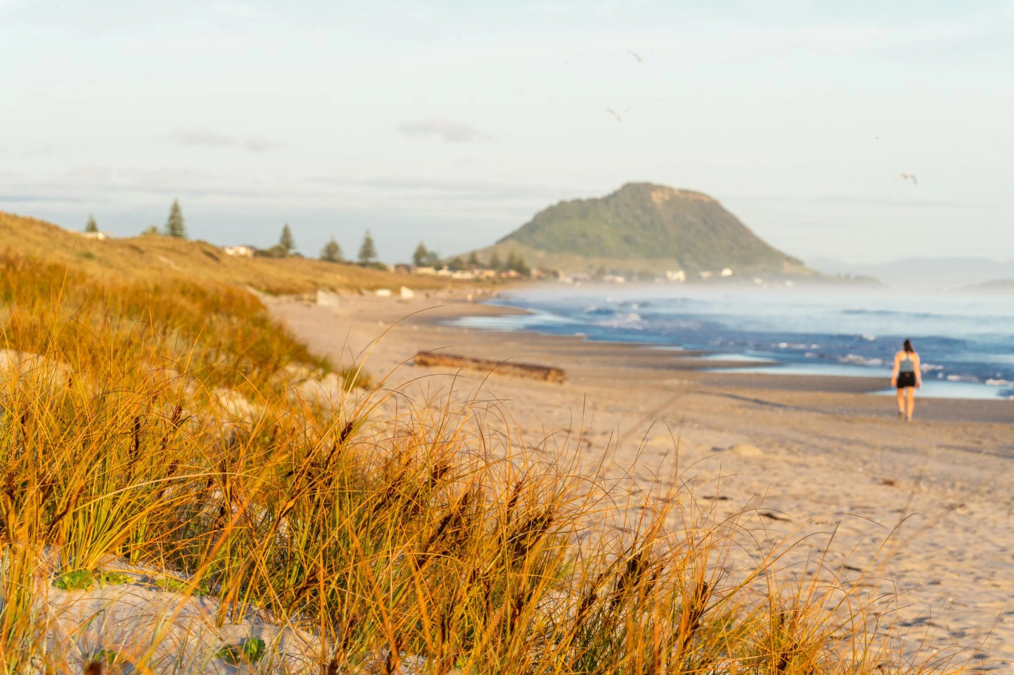 Pāpāmoa coastline, photograph 3 of 9
